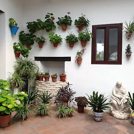 公寓 Entre Patios Y Flores