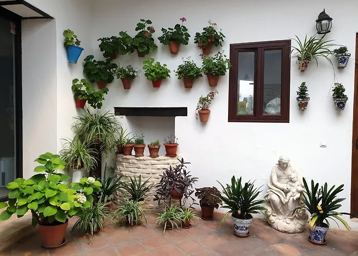 Apartment Entre Patios Y Flores