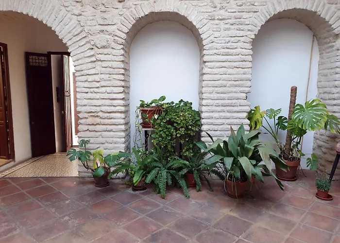 Entre Patios Y Flores Cordoba
