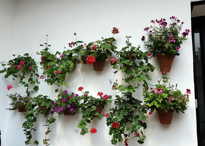 Entre Patios Y Flores *