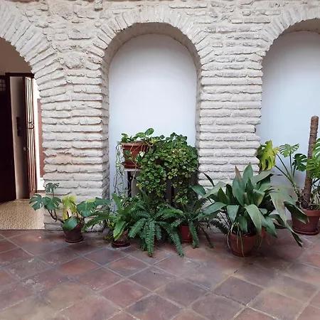 Entre Patios Y Flores Κόρδοβα
